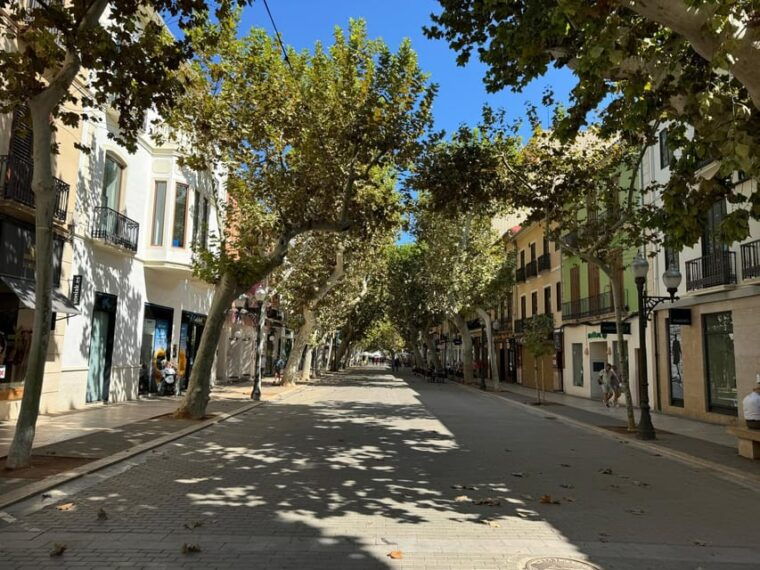 From Costa Blanca: Denia and Mediterranean Gardens Day Trip - LAlbarda Gardens