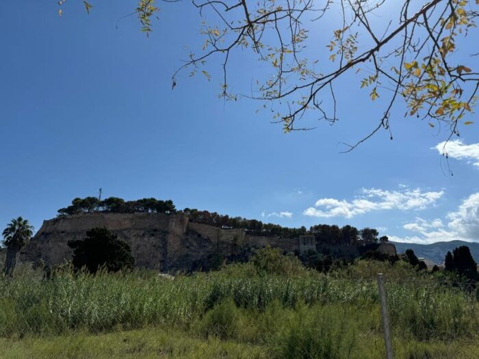 From Costa Blanca: Denia and Mediterranean Gardens Day Trip - Included in the Trip