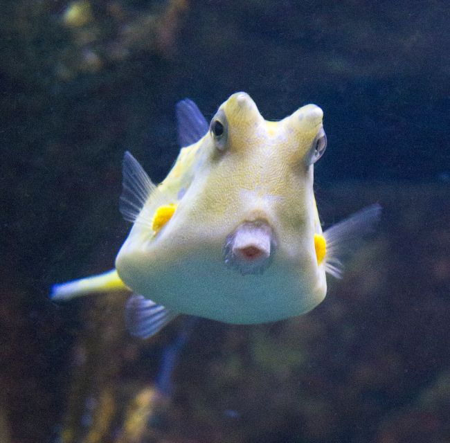 From Costa Brava: Barcelona Day Trip With Aquarium Visit - Booking Details