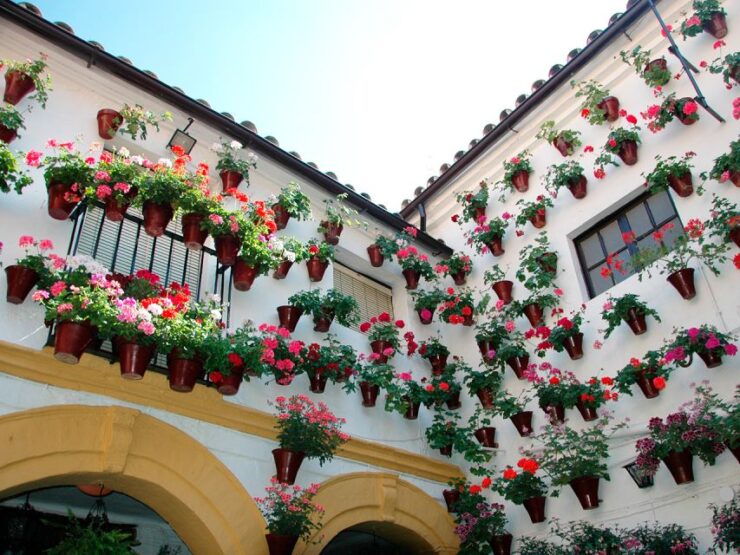 From Costa Del Sol: Day Trip to Cordoba Free Time - Activity Details