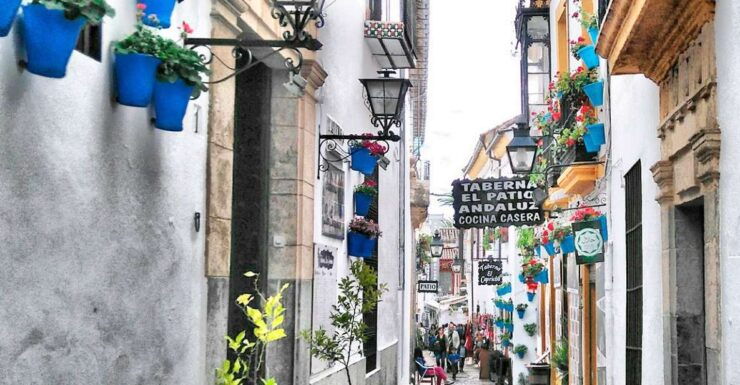 From Costa Del Sol: Day Trip to Cordoba Free Time - Inclusions