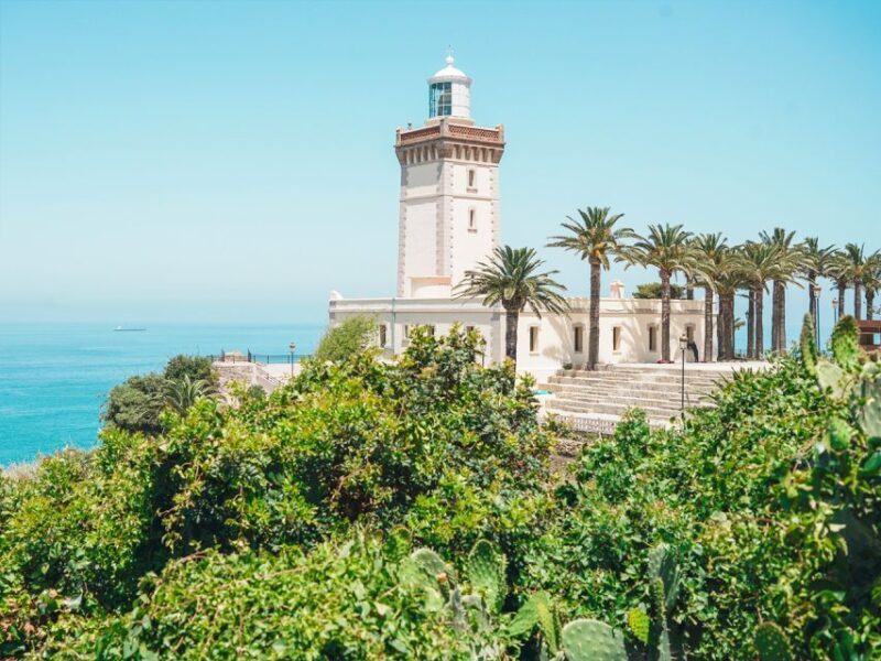 From Costa del Sol: Discover Tangier on a Guided Day Trip - The Experience: What to Expect from Start to Finish