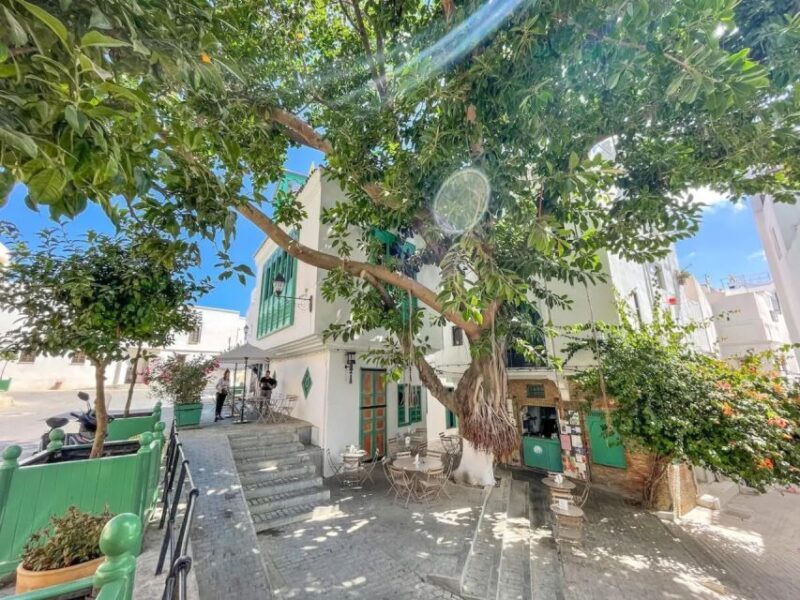 From Costa del Sol: Discover Tangier on a Guided Day Trip - Final Thoughts: Is It Worth It?