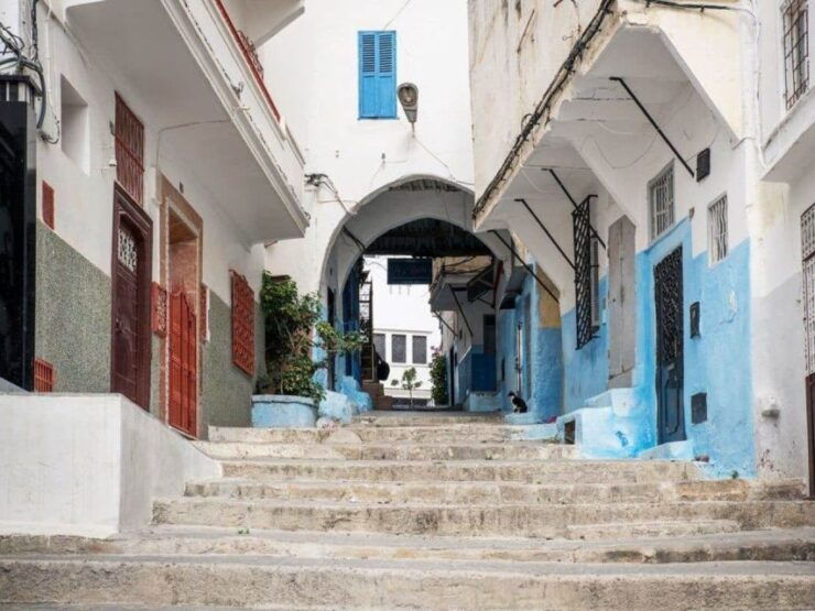 From Costa Del Sol: Discover Tangier on a Guided Day Trip - Activity Details