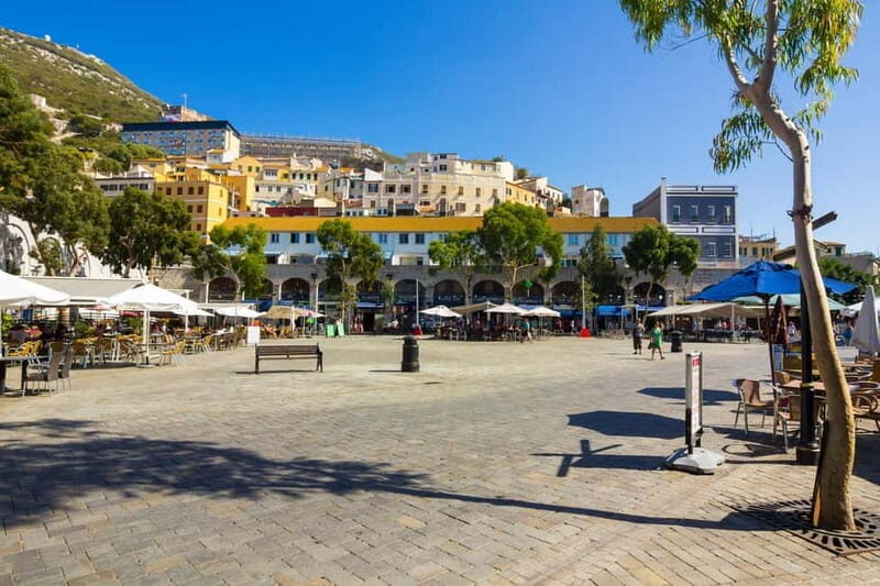 From Costa del Sol: Gibraltar Day Trip with Free Time - Price, Value, and Practical Tips