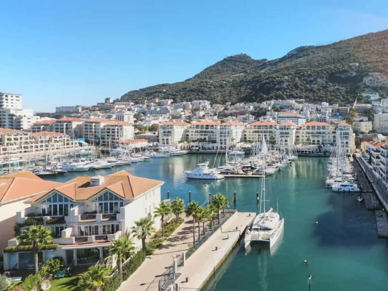 From Costa del Sol: Gibraltar Day Trip with Free Time - Highlights Based on Visitor Feedback