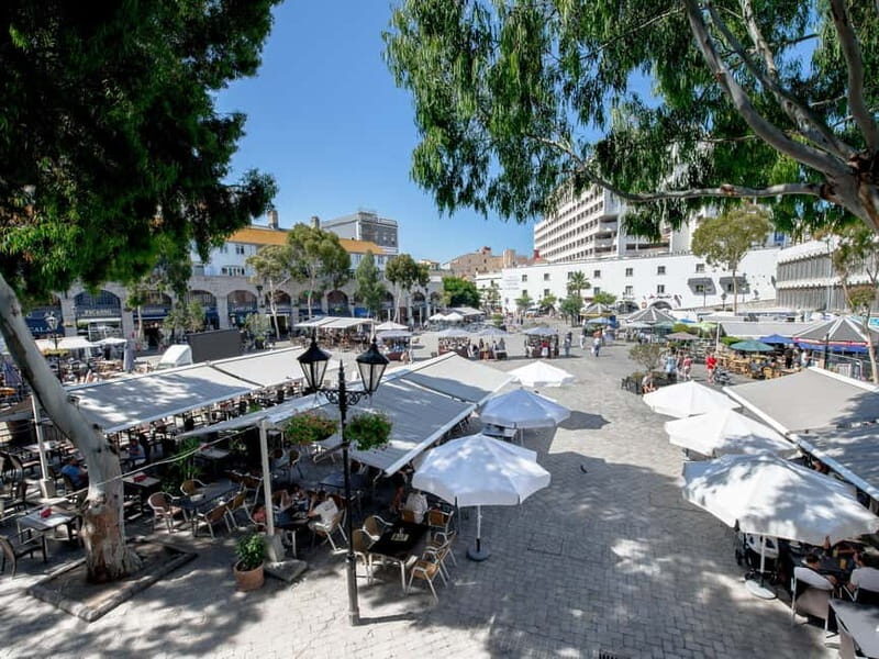 From Costa del Sol: Gibraltar Day Trip with Free Time - Who Will Love This Tour?