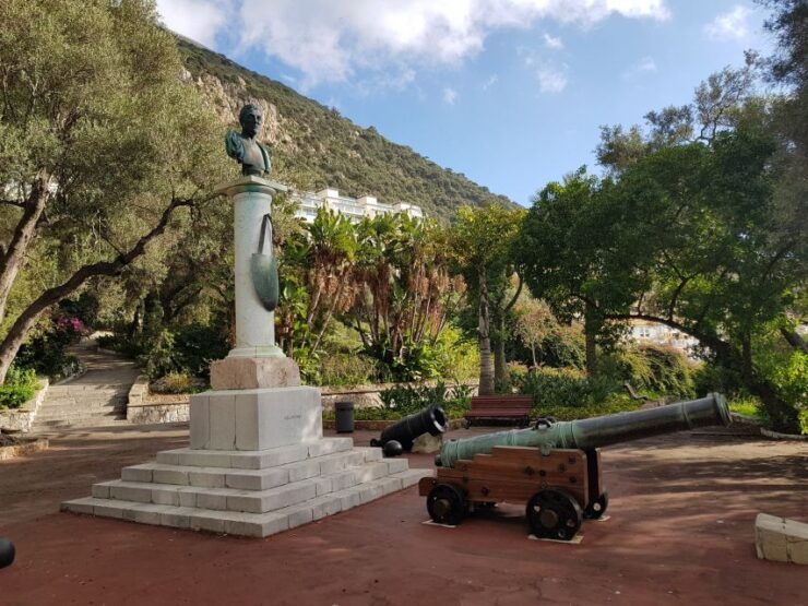 From Costa Del Sol: Gibraltar Dolphin Watching by Boat - Activity Highlights