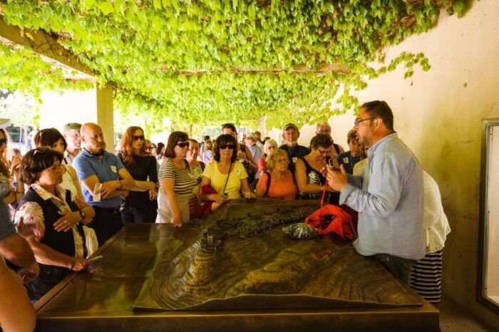 From Costa Del Sol: Granada, Alhambra & Generalife Tour - Customer Feedback and Ratings