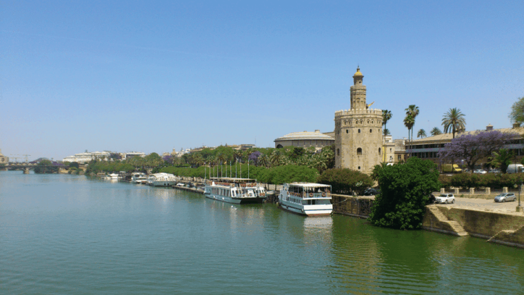 From Costa Del Sol & Malaga: Seville Day Trip - Tour Inclusions
