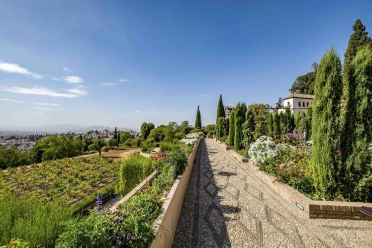 From Costa Del Sol or Malaga: Granada and Alhambra Tour - Tour Details and Options