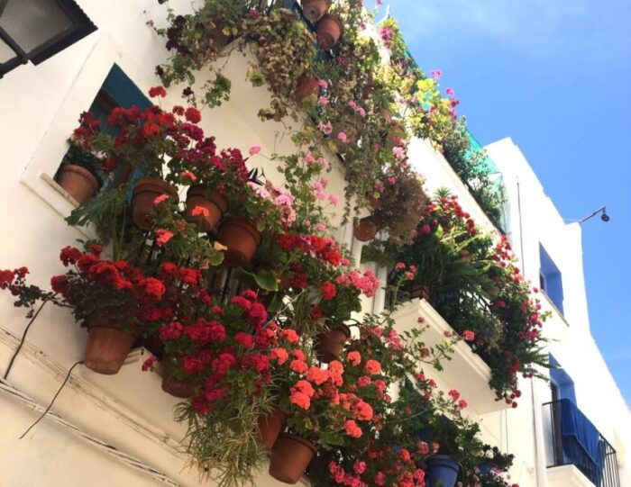From Costa Dorada: Peñíscola and Ebro Delta Sightseeing Tour - Visiting the Castle of Peñíscola