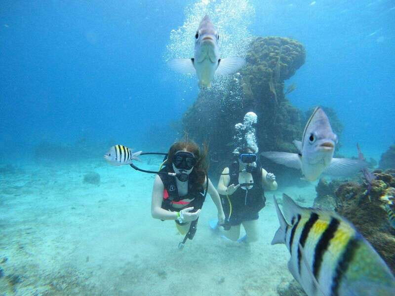 From Cozumel: Chankanaab Cozumel Scuba Diving - FAQ