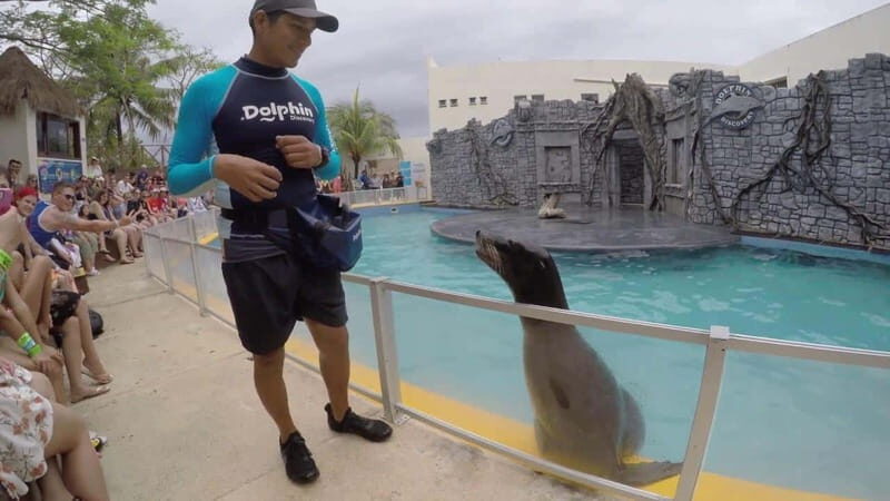From Cozumel: Chankanaab Park Day pass with Open Bar & Lunch - Good To Know