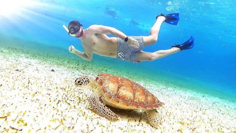 From Cozumel: El Cielo Beach by Catamaran Snorkeling Tour - A Practical Look at the Cozumel Snorkeling Tour