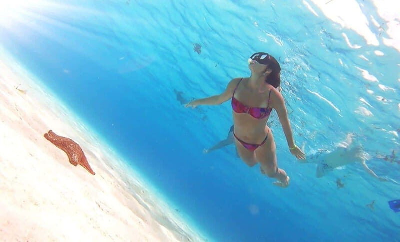 From Cozumel: El Cielo Beach by Catamaran Snorkeling Tour - Final Thoughts: Who Is This Tour Best For?