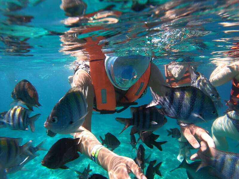 From Cozumel: Invisible Boat Snorkeling Tour - What to Expect from the Invisible Boat Snorkeling Tour