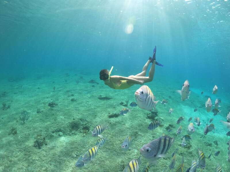 From Cozumel: Invisible Boat Snorkeling Tour - The Sum Up