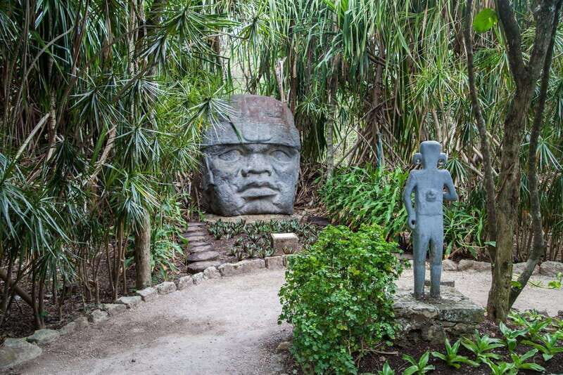 From Cozumel: Official Chankanaab Park Day Pass and Snorkel - FAQ