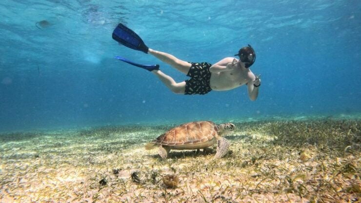 From Cozumel: Snorkel Private Charter to El Cielo & Cielito - Cancellation Policy and Booking Flexibility
