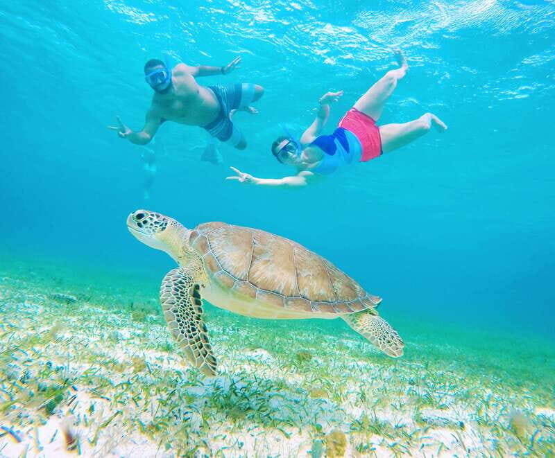 From Cozumel: Starfish, Stingrays and the Turtle Sanctuary - FAQ