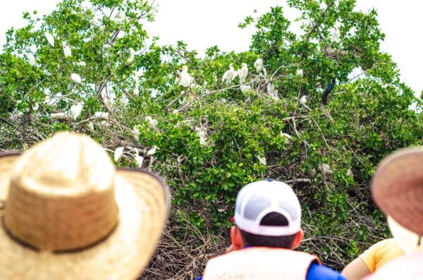 From Crucecita: Ventanilla, Zipolite, and Puerto Ángel Tour - Starting at La Ventanilla