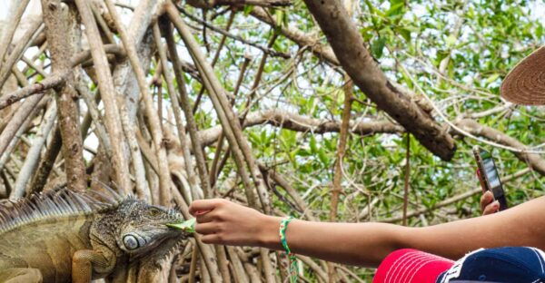 From Crucecita: Ventanilla, Zipolite, and Puerto Ángel Tour - Frequently Asked Questions