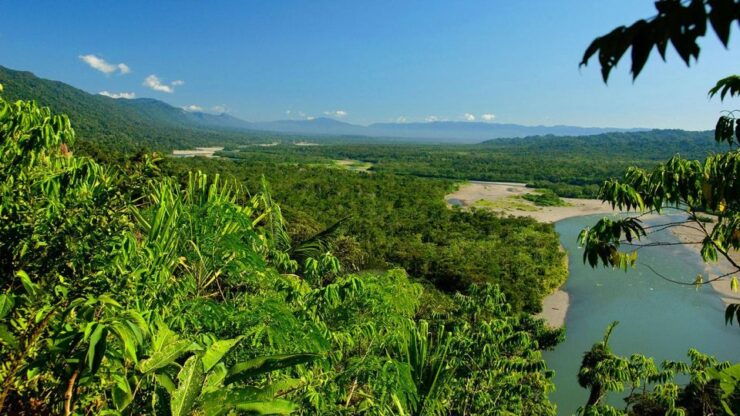 From Cusco: 4D/3N in the Amazon of the Manu National Park - Itinerary Highlights