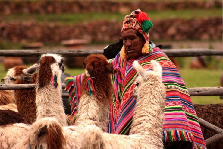 From Cusco: 6-Day Machu Picchu and Cusco Tour - Tour Highlights and Itinerary