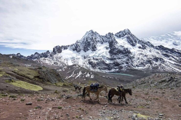 From Cusco: Ausangate Route - 7 Lagoons Tour Meals - Good To Know