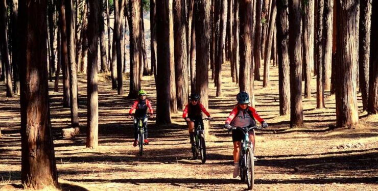 From Cusco: City Tour by Bicycle Half Day - Tour Overview