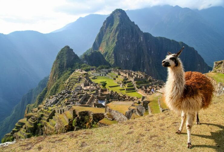 From Cusco: City Tour Cusco and Inca Trail to Mapi 6d/5n - Explore Perus Rich History and Culture