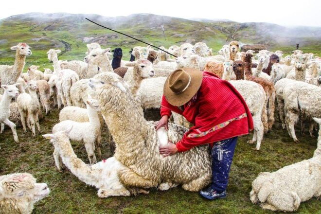 From Cusco: Hayuni Lines & Wheels (Pallay Orqo) Full Day - Full Description