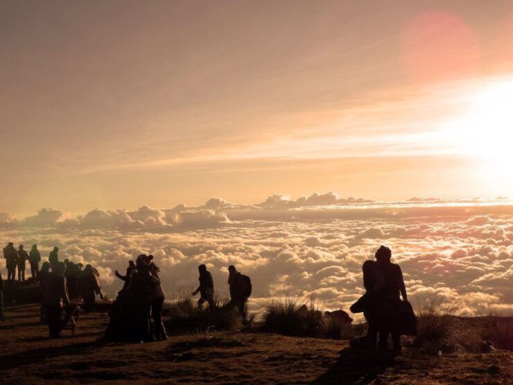 From Cusco: Manu Biosphere Peru 6 Days - Explore Manu National Reserve