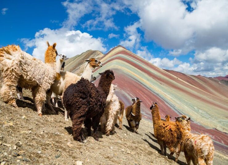 From Cusco Rainbow Mountain in ATV - Itinerary Highlights