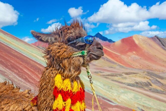 From Cusco: Rainbow Mountains Guided Trek With Breakfast - Full Description of Experience