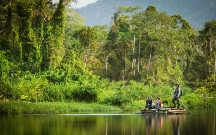 From Cusco: Tour Manu – Tambopata – Puerto Maldonado 8D/7N - Tour Details
