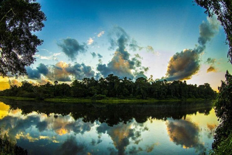 From Cusco: Tours to Manu National Park From 3n/2d - Tour Duration and Guides