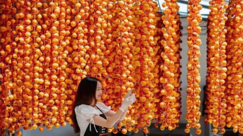 From Da Lat: Cloud Hunting & Nature Tour with Breakfast - What to Pack and Consider