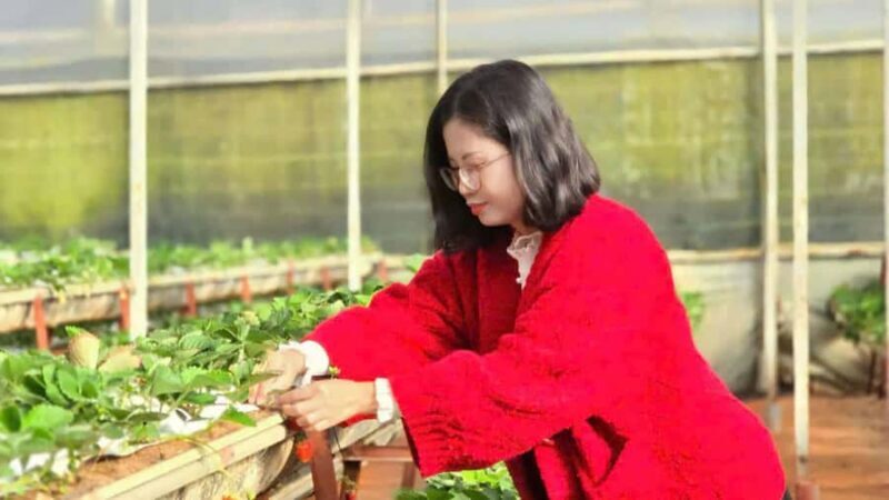 From Da Lat: Cloud Hunting & Nature Tour with Breakfast - The Sum Up