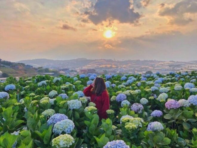 From Da Lat : Visit Da Lat 1 Day - Languages Offered