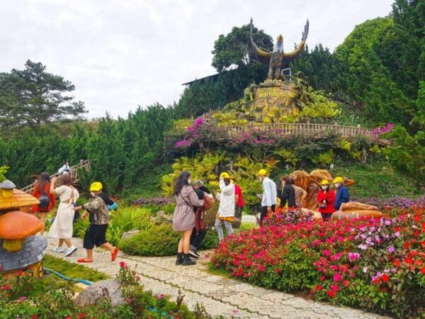 From Da Lat : Visit Da Lat 1 Day - Tips for a Great Experience