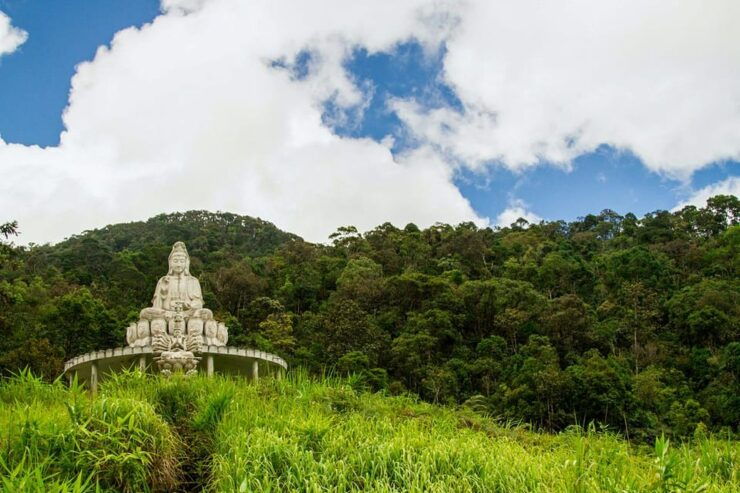 From Da Nang: Bach Ma National Park Trekking - Good To Know