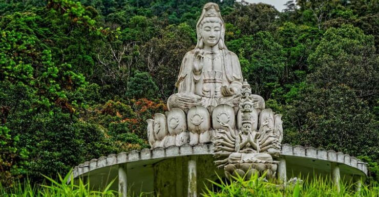 From Da Nang: Bach Ma National Park Trekking - Itinerary Details
