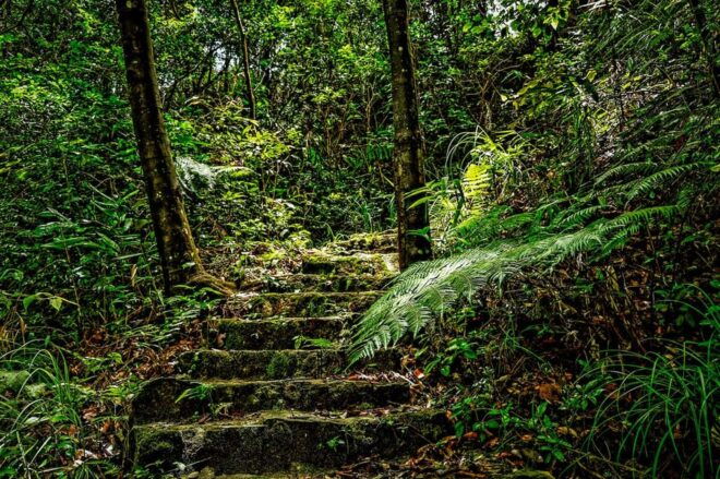 From Da Nang: Bach Ma National Park Trekking - Restrictions and Recommendations