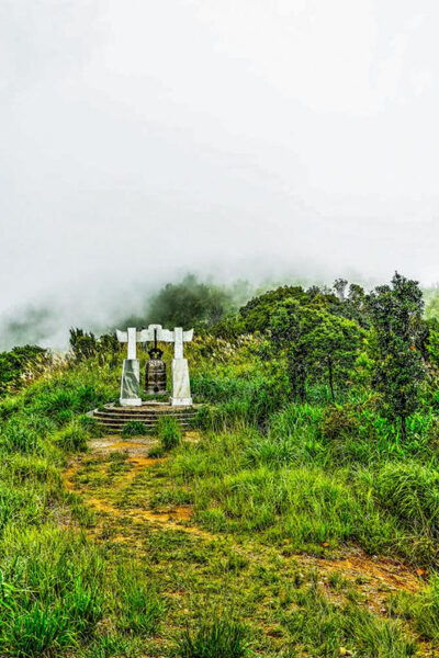 From Da Nang: Bach Ma National Park Trekking - Customer Ratings and Feedback