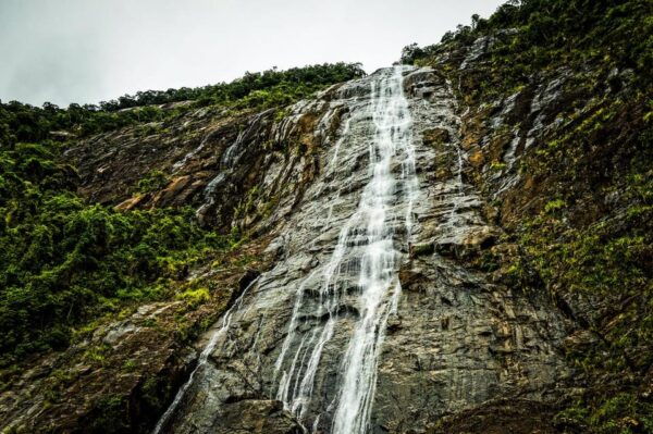 From Da Nang: Bach Ma National Park Trekking - Hotel Pickup and Drop-off