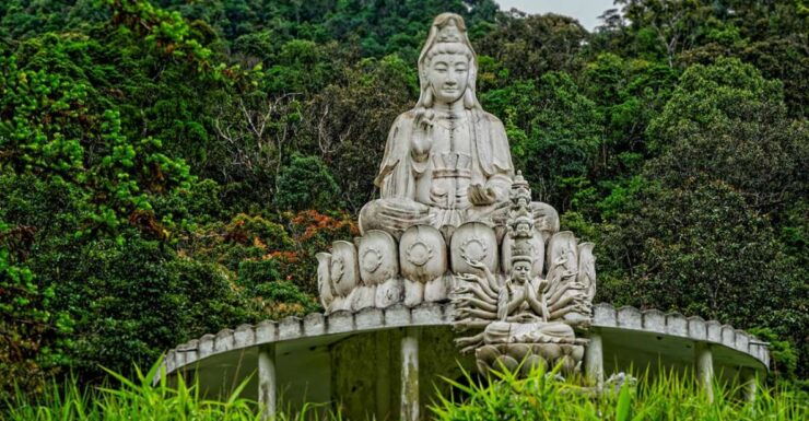 From Da Nang: Bach Ma National Park Trekking - Highlights of the Tour
