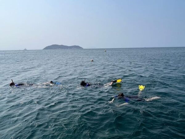 From Da Nang: Cham Island Sightseeing and Snorkeling Tour(L) - Frequently Asked Questions