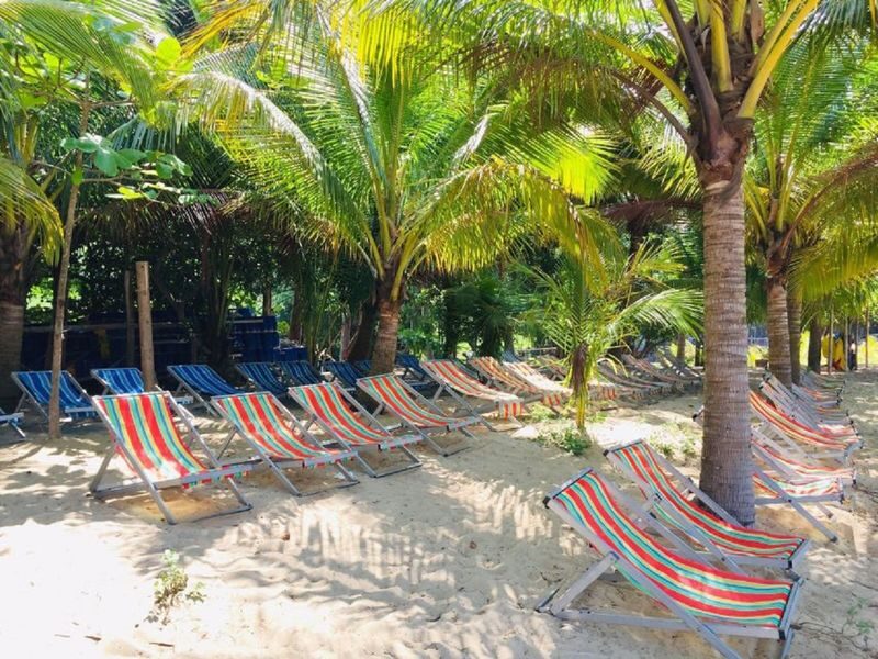 From Da Nang: Cham Islands, Basket Boat & Hoi An Ancient Town Private Day Tour - Should you book this private day tour?